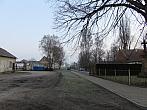 Třibřichy