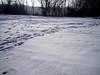 Borovina