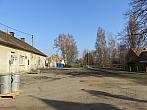Třibřichy