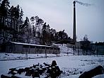 Borovina