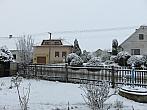 Třibřichy