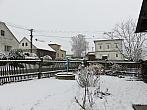Třibřichy