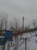 Skalité