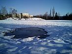 Borovina