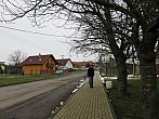 Třibřichy