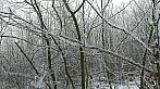 Třebíč-Týn