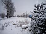 Borovina