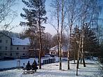 Borovina