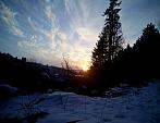 Borovina