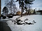 Borovina