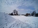 Borovina
