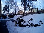 Borovina