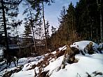 Borovina