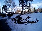 Borovina