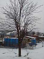 Skalité