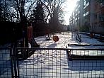 Borovina