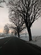 Zajíčkov
