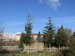 Neratovice