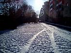 Borovina