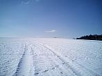 Borovina