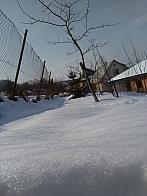 Skalité
