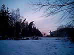 Borovina