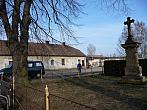 Třibřichy