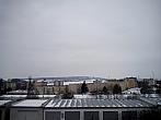 Borovina