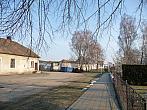 Třibřichy