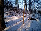 Borovina