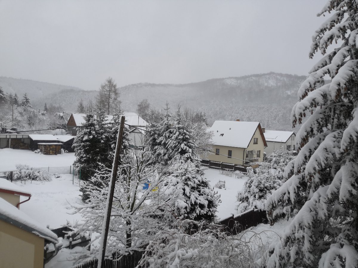 Chrustenice
