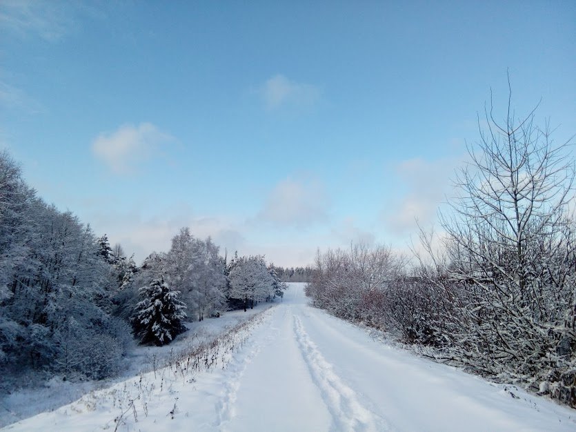 Vítkov