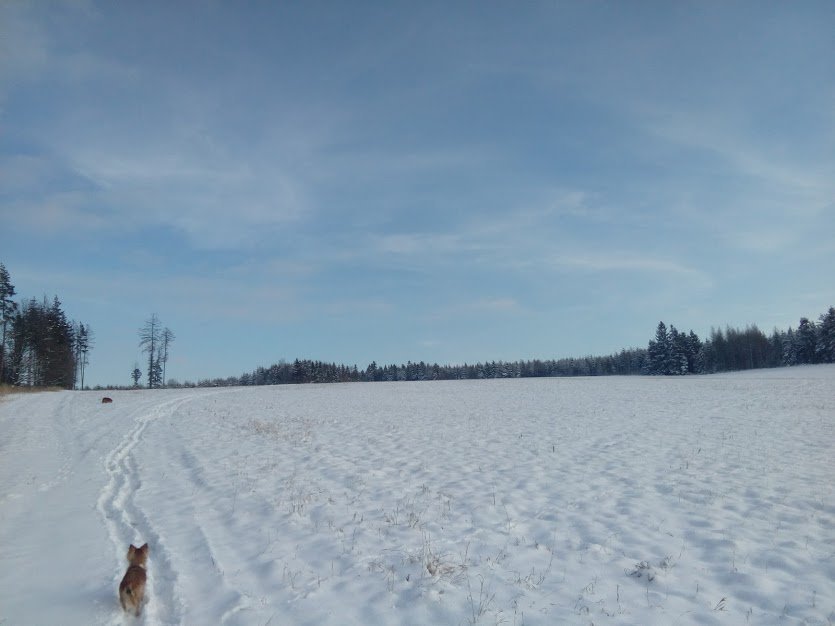 Vítkov