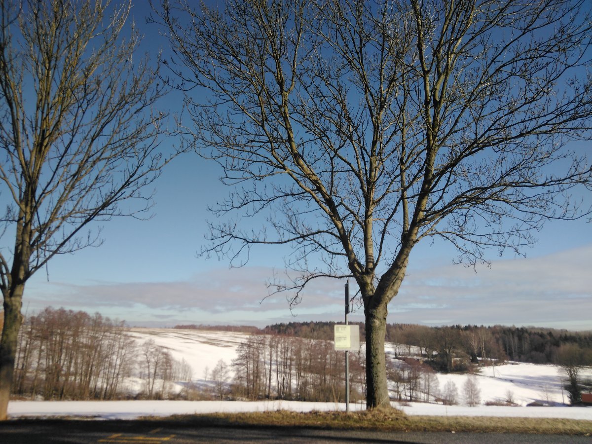 Sněžná