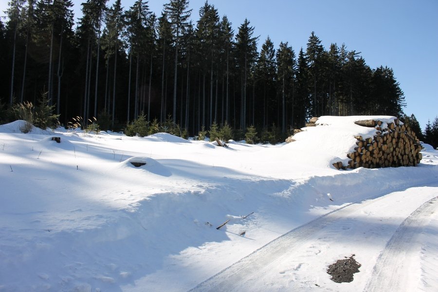 Třebouňský vrch u Toužimi