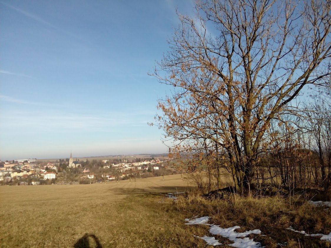 Vítkov