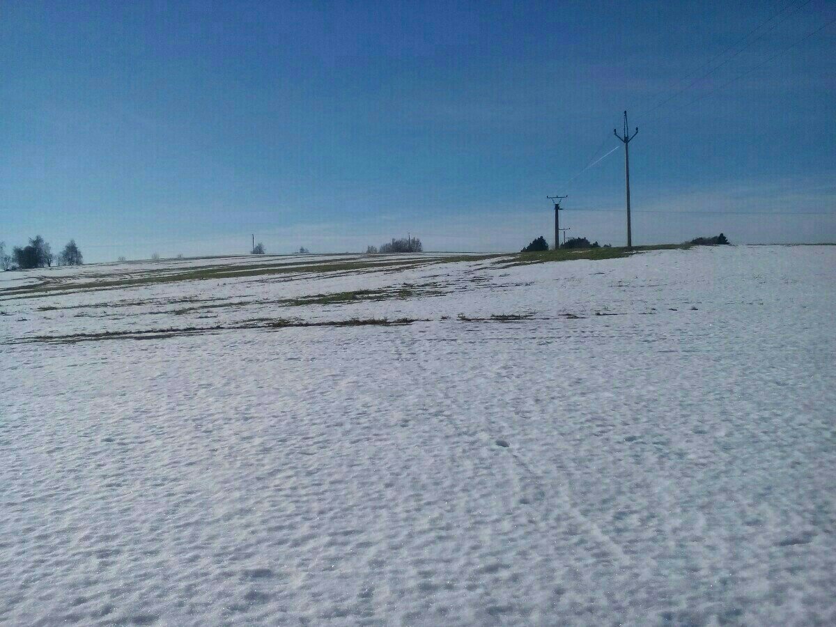 Kunžak
