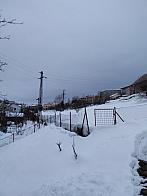 Skalité