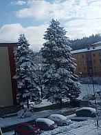 Vsetín