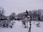 Český Těšín