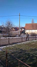 Třibřichy