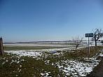 Třibřichy