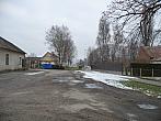 Třibřichy