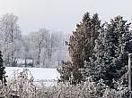Tučapy