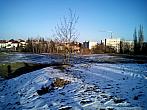 Borovina