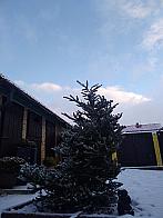 Pacov