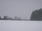 Němčice Zhoř