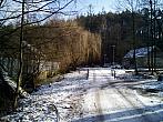 Borovina
