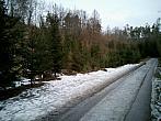 Borovina