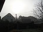 Třibřichy